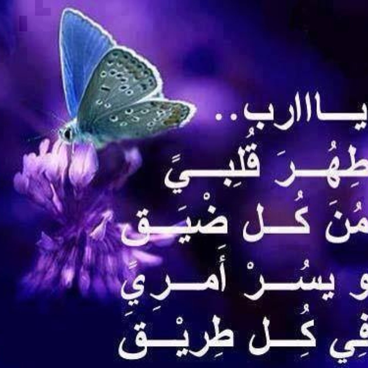 لا اله الا الله محمد رسول الله