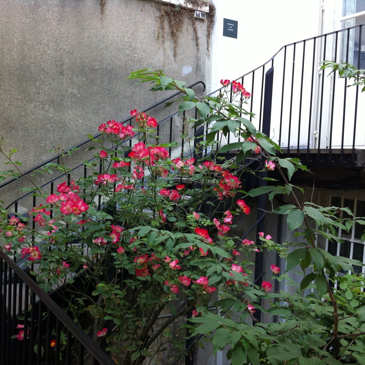 毎日を心地よく過ごしましょう。 好きなもの。おいしいごはんとおやつ、お茶、東京の冬の空。