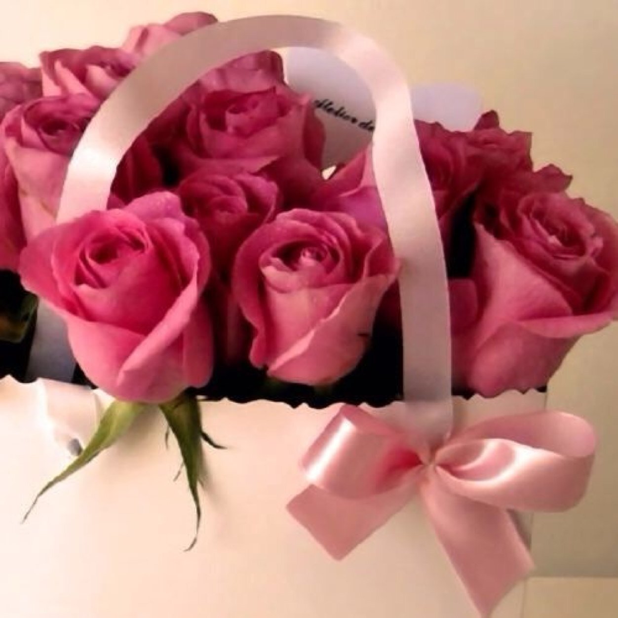 ارواحُنا هي هدية من الله يجب انْ نعيدُها الى خالقُها طاهرةٌ ماستطعنا