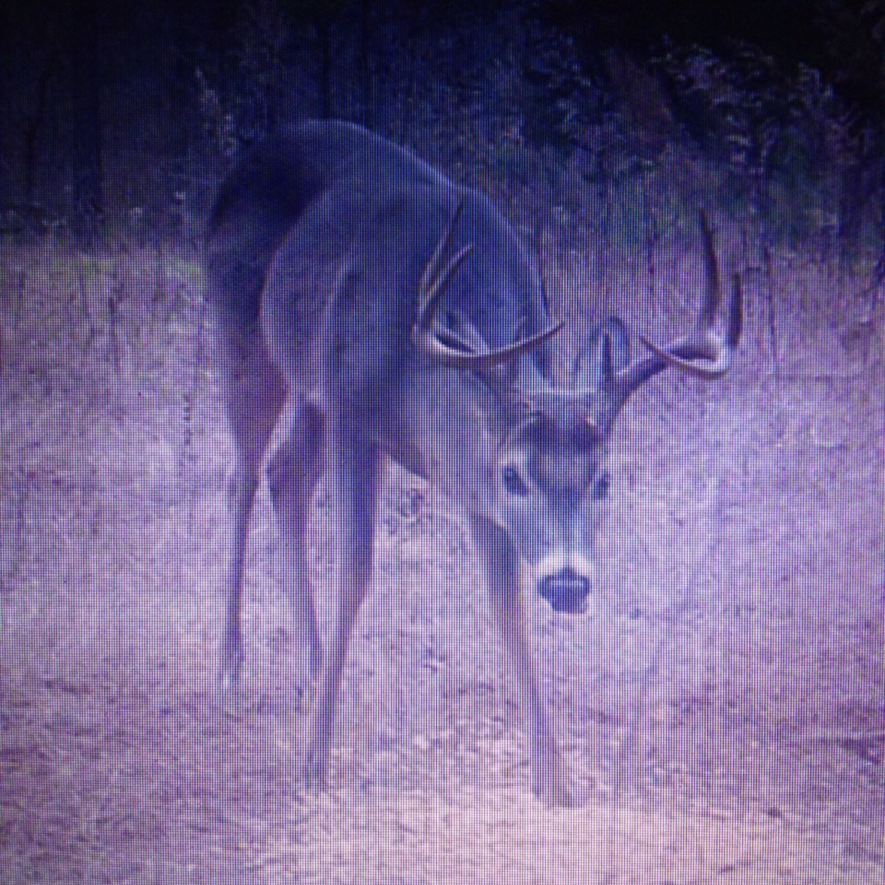 DanielPDW3's profile picture. 