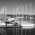 Long-Island-Portal (@lawngisland) Twitter profile photo Long-Island-Portal (@lawngisland) Twitter profile photo