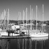 LawngIsland's profile picture. Long-Island-Portal™ (L-I-P)™ = The Best of The Best on Long Island, New York