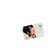 ___n_Ra's profile image