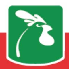 Vem ai um novo conceito em alimentação para a Cidade de Imperatriz - MA.