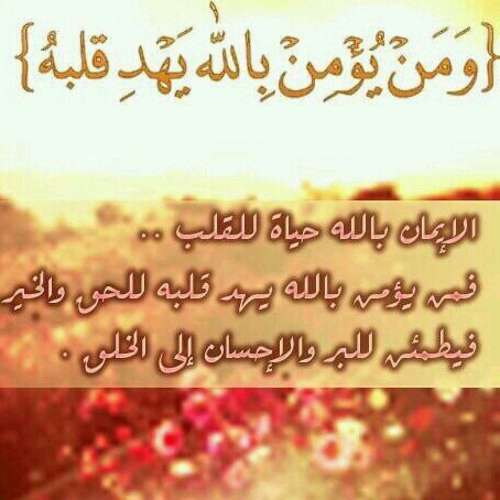 ‏‏محاسب طموح / احلم بالتغير / اتطلع دائما إلي حيث النجاح/ أجمع بين الصلابة و الرقة , و بين القوة و اللين 0096550600342