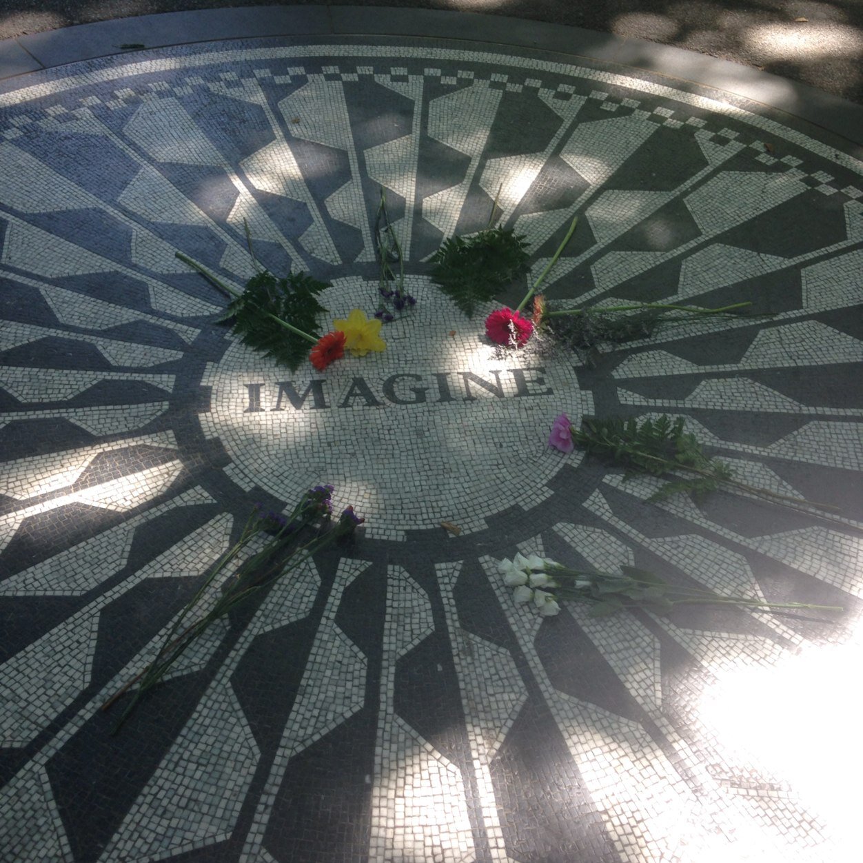 chross12's profile picture. Helping Others is my life calling.