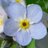 belair1753's profile image
