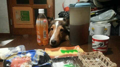 それとなくやっていけたらと思います