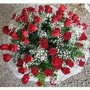 havergitit's profile picture. 