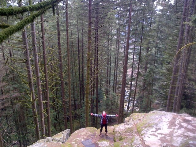 gold_diamante's profile picture. POCO