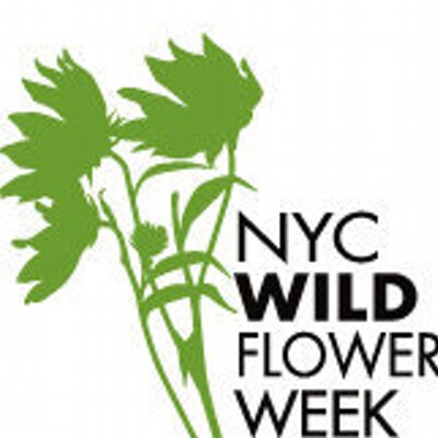 Native Plants  NYC Wildflower Week