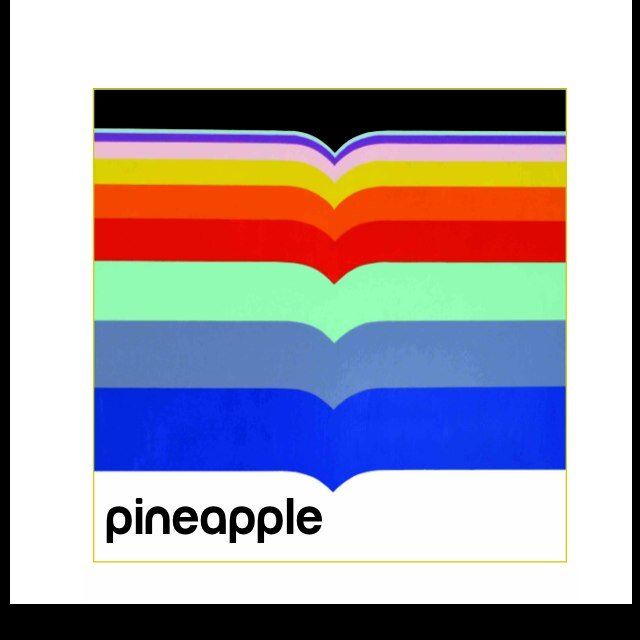 Earnest, quirky, pop music from four veteran Vancouver kittens! 
Instagram: @pineappletheband thebandpineapple@gmail.com