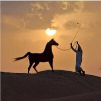 ناصر العالقي (@ghamdy_07) Twitter profile photo