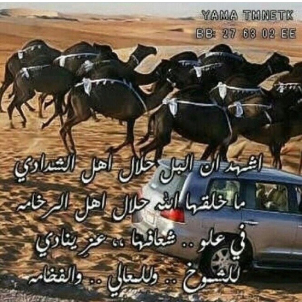 aaa_6926's profile picture. الحمد الله ً