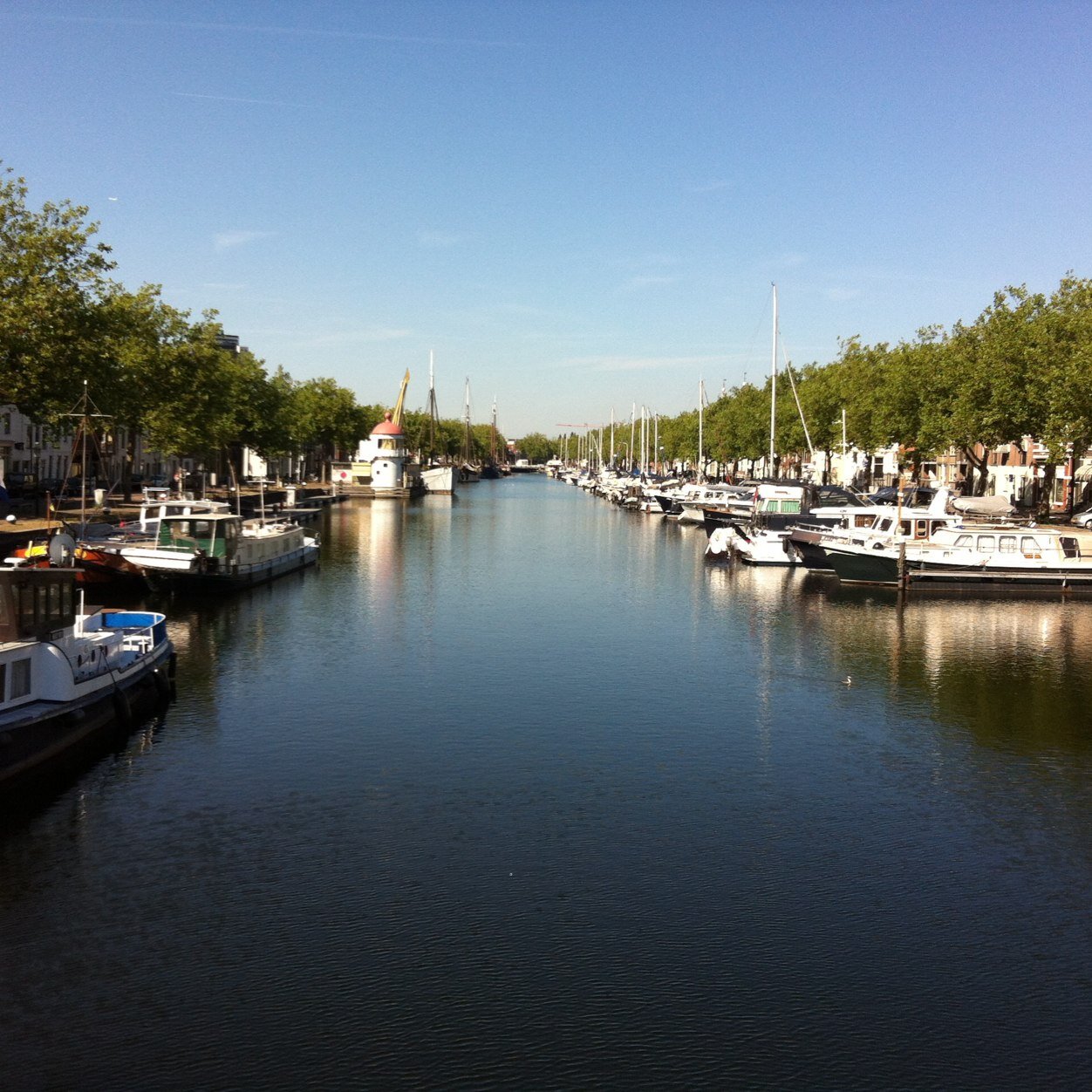 hofman_t's profile picture. 