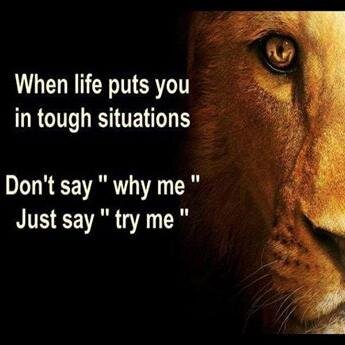 Success__Tweets's profile picture. If you really want to do something youll find a way. If you dont youll find an excuseJim Rohn