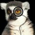 Dan P. Law Esq. (@danplaw) Twitter profile photo