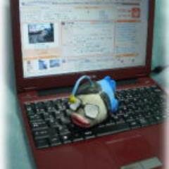 okyota Profile Picture