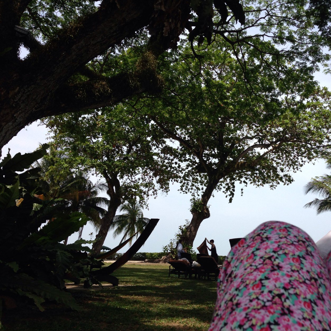 whateverITtakes's profile picture. I laugh, I love, I hope, I try, I hurt, I need, I fear, I cry