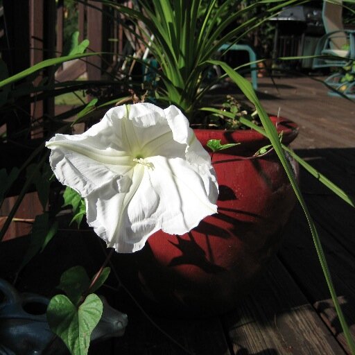 shelly5977's profile picture. 