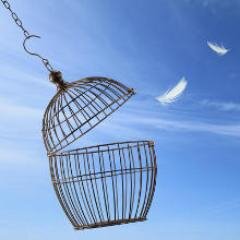 SommetLiberte's profile picture. Réunir des intervenants aussi divers que passionnants pour transmettre et échanger sur la liberté: voilà l'objectif de ce sommet gratuit!