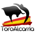 ToroAlcarria (@toroalcarria) Twitter profile photo