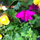 Maddy Best - @MADDYBESTac - Twitter