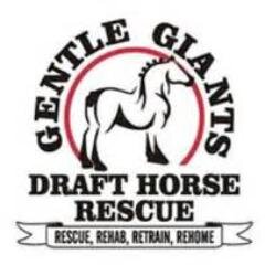 We are a  501 c3 Tax Deductible Non-Profit Rescue, committed to saving draft horses from slaughter. Rescue*Rehab*Retrain*Rehome