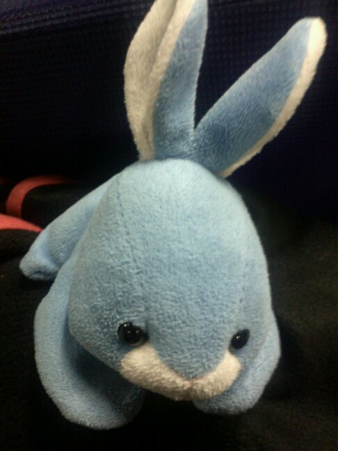 토끼, 일상생활, 사진찍기 좋아하는 rabbit 입니다.