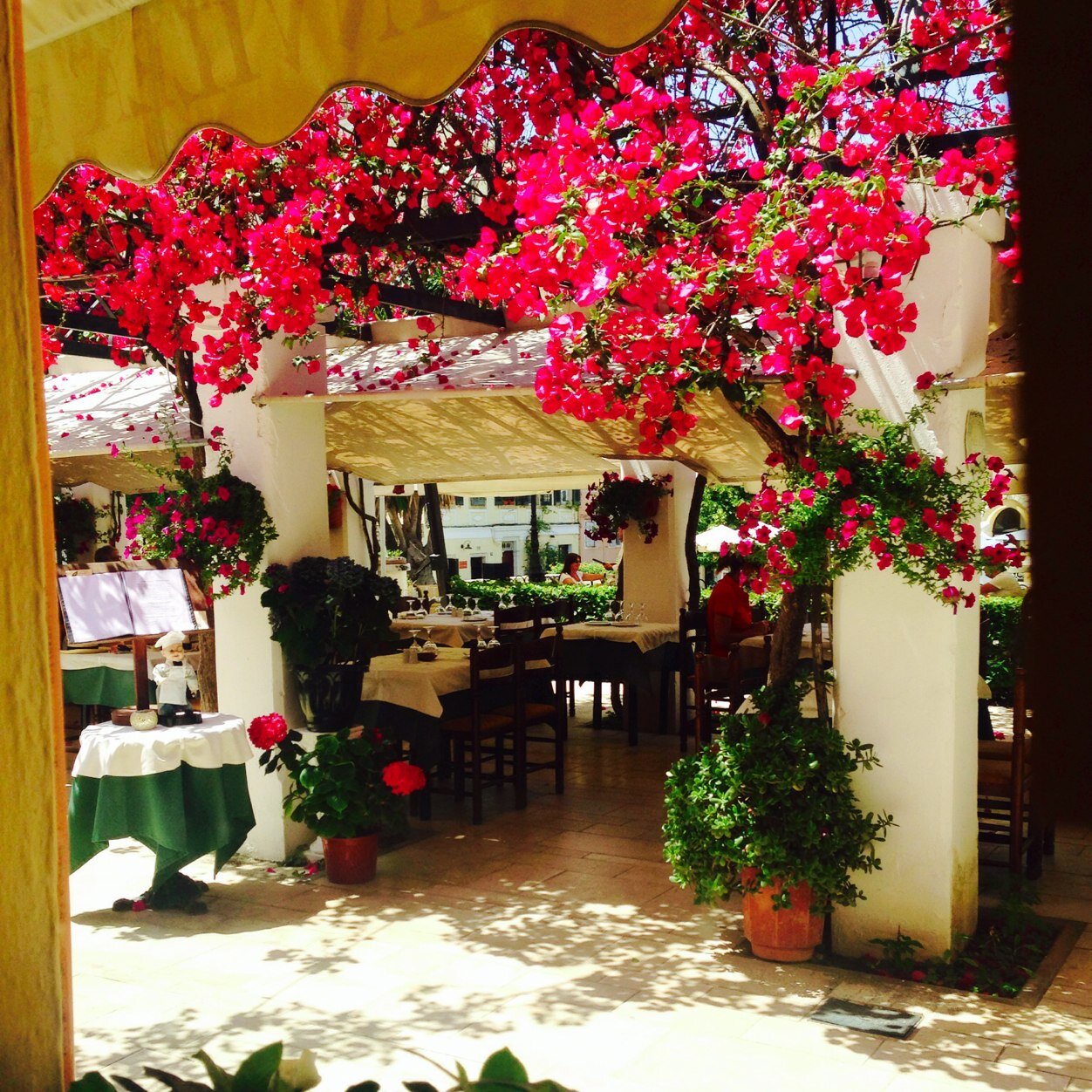 Welcome to the official twitter page of Bougainvillea Restaurant in the city of Corfu Greece