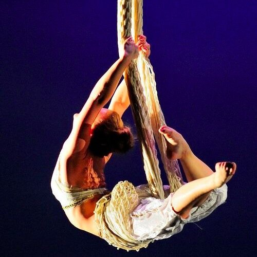 InvertedArt's profile picture. Professional Aerialists & Dancers for events. We can create customized acts in silks, trapeze, lyra or dance to fit any venue.