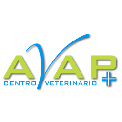 AvapPinerolo's profile picture. Clinica veterinaria per animali da compagnia