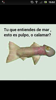 InAprika's profile picture. Twitter Oficial de Aprika . Las personas que hacen daño al país usan traje y corbata, no tatuajes y piercing.