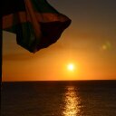 Rockin Robin2 - @robin_waugh - Twitter