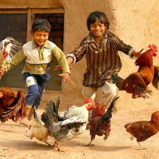 ‏‏‏تكلم حتى اراك هكذاا قيل _محلووية  _ اهلاويه رياليه _ ضاكتورة بهاايم المنصورة