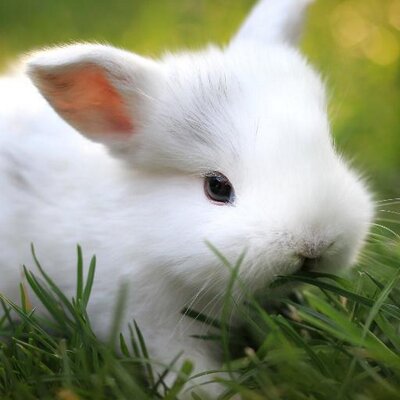 ml8_ml8 on Twitter: "https://t.co/v5DFjpzTCF"