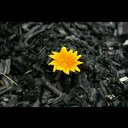 Sharon Lumb - @Butyfrmashes - Twitter