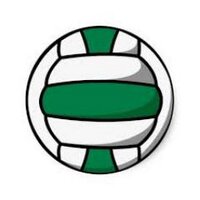 Geneseo Volleyball (@geneseohsvball) 's Twitter Profile