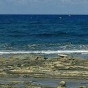 Farfog Farr (@5738cbd2bdb747b) Twitter