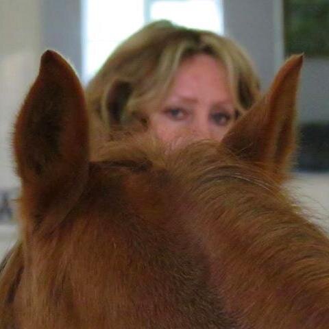 Master NLP practitioner, Master Coach, expert equine facilitated coach, Speaker, Writer, Mentor & Trainer.  community economic development practitioner.