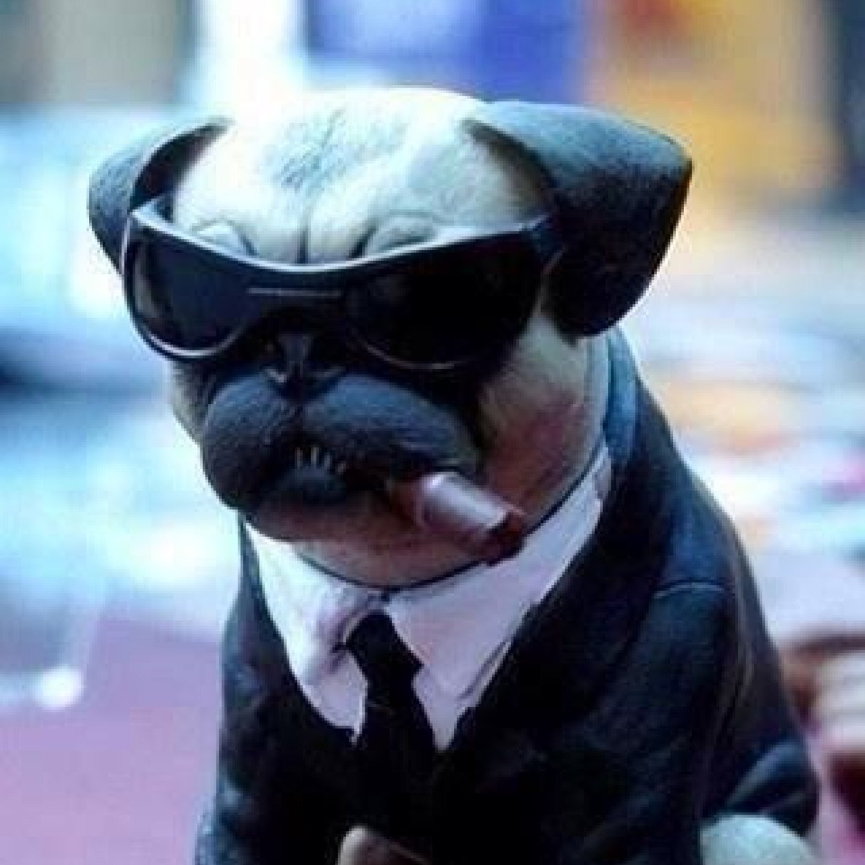 Phoosit's profile picture. 