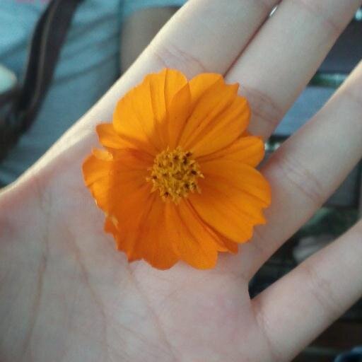 요리, 레저스포츠, 맛집, 커피,
자동차, 드라이브, 문화, 예술, 퍼즐
