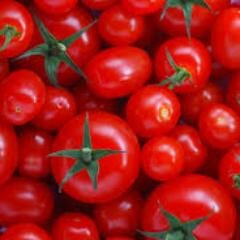All you need to know about Nigeria Agriculture