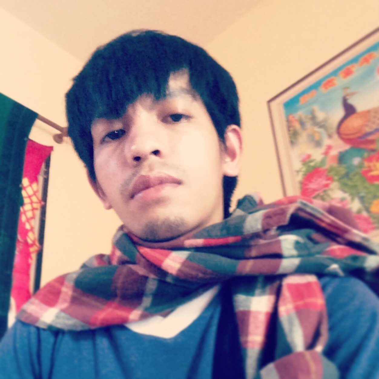 Hi