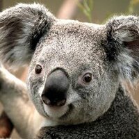 Tom (@tel4u2) 's Twitter Profile