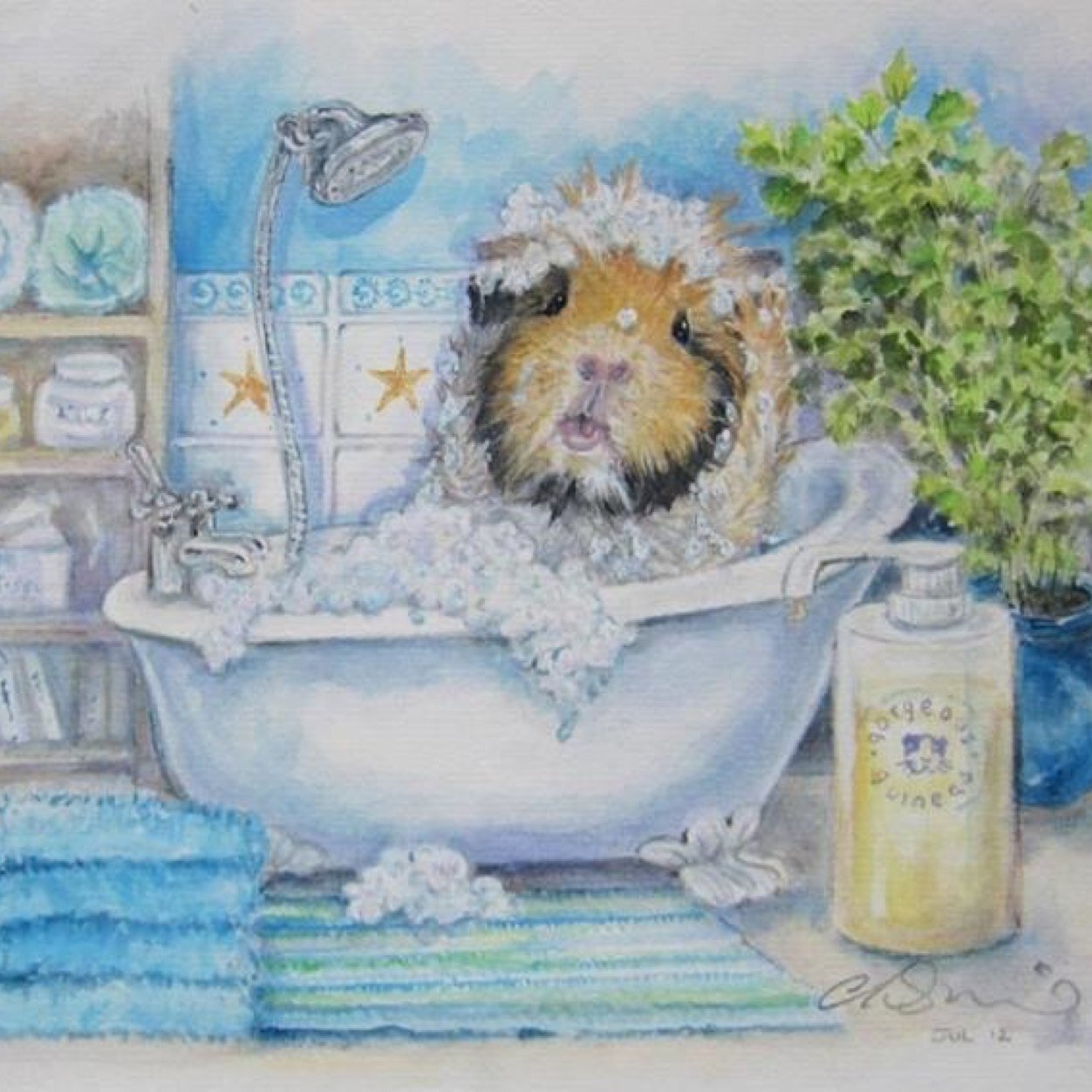 I have 1 husband, 2 kids, 4 dogs and 19 guinea pigs and i work as a child health nurse.
