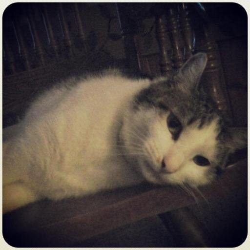 KristenRuther13's profile picture. Loves working with children and wants to become a nurse at St. Jude's. Has a big heart and loves Jesus