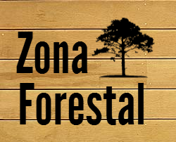 Información sobre el sector forestal, la biomasa y el medio ambiente, de manera indipendiente y sobre todo útil