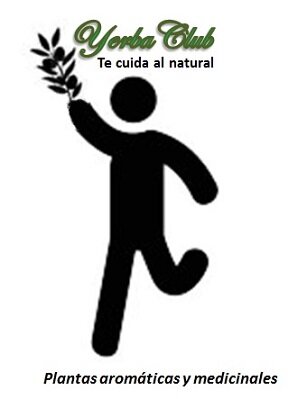 Plantas Aromáticas y Medicinales