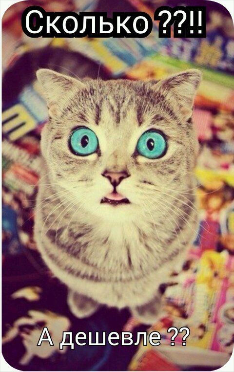 ustazou's profile picture. Люблю , когда в порыве заставить себя полюбить ....бьют ногами